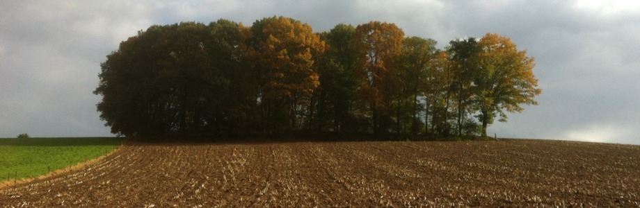 Uden en omgeving